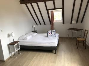 Villas Charmant Domaine Solognot piscine : photos des chambres