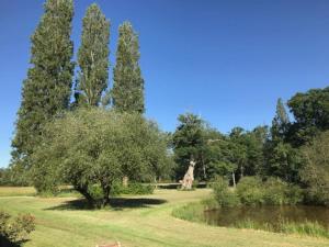 Villas Charmant Domaine Solognot piscine : photos des chambres