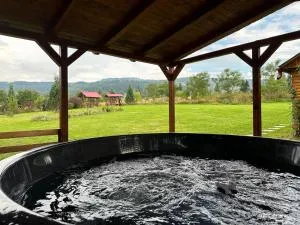 Cabana La Plai Vest - cozy private place in the mountain - Panaci