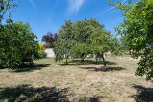 Maisons de vacances Le Petit Munet : photos des chambres