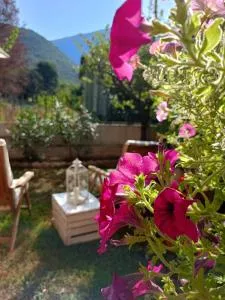 La Civetta appartamento con giardino e parcheggio - Nave