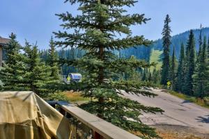 Trappers Landing #30 townhouse