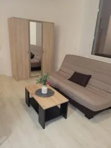 Studio proche centre-ville - Thyez