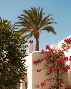 Standard Double Room room in Calador-Ibiza