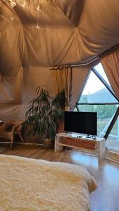 У Дачі для своїх