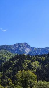 Villa Rachuli Sakhli