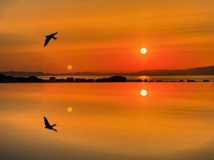 ST NIKOLA PANORAMIC SUITES HALKIDIKI