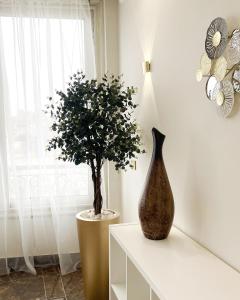 Bright and spacious apartment in Cairo downtown Dokki family building