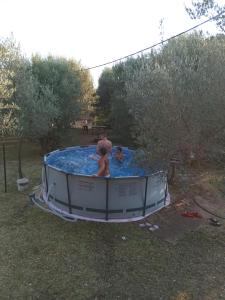 Apartments Green Olives