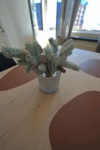 Lapland 3-Bedroom Apartment - in Heart of Center