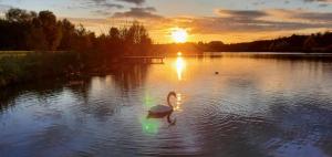 Appartements T2 lumineux, a 10 min de Disney, au pied de la gare avec parking prive : photos des chambres