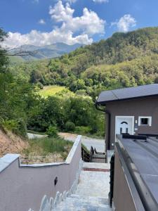 Blue Lagoon Apartments