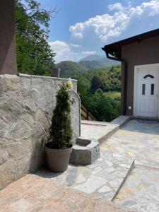 Blue Lagoon Apartments