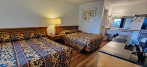 Double Room room in Nites Inn Motel