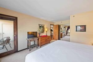 The Borders Lodge - Lower Borders 206