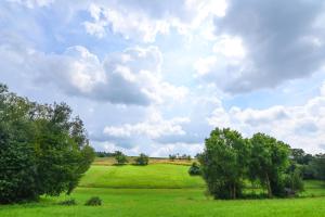 Entspannung und Erholung, Ferienwohnung mit traumhaftem Blick in die Natur
