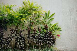 Puri tangsub peaceful villa by nature