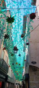 Appartements Le Loft De La Robine 110m2 : Appartement avec Terrasse