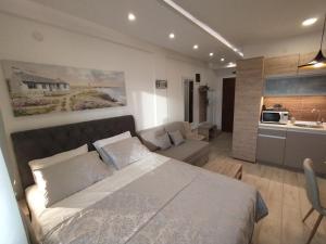 Pavic SPA Milmari L34