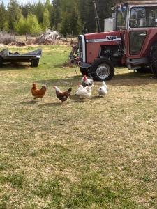 Christinagården Guesthouse