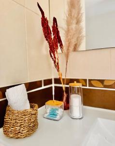 Maisons de vacances Jacuzzi BBQ Parking Maison Privee Confortable : photos des chambres