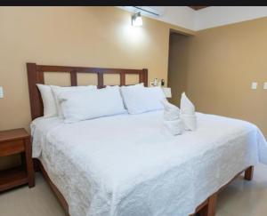 The garden hotel palenque