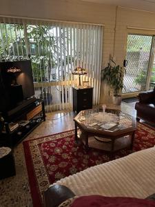 The singing frogs studio