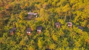 Hotel La Palma y El Tucán - Café y Naturaleza - Cachipay