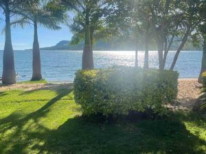 Sweta Takawiri island cottage