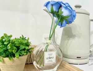 GraceCourt Oyama Near Ikebukuro Studio Apartment