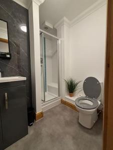 Vibrant City Center Studio Apartment 6a