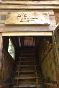Treehouse Velké Losiny