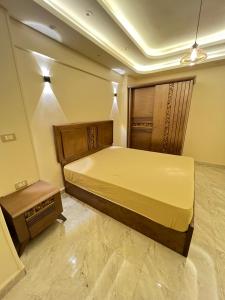 شقة في المنيل