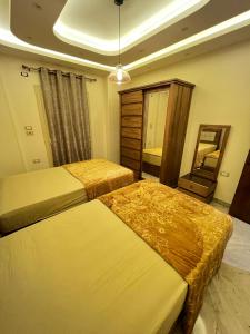 شقة في المنيل