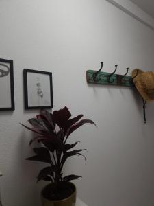 Casa Tina, Costa del Silencio