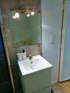 Appartements Charmant loft avec jardin pres du centre ville : photos des chambres