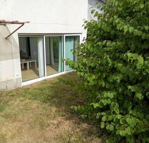 Appartements Charmant loft avec jardin pres du centre ville : photos des chambres