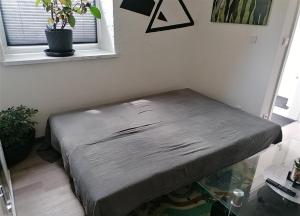 Private Living Central, Dampfdusche