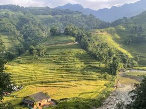 Sapa Garden Hostel