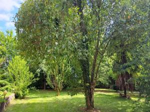 Maisons de vacances Serenite : photos des chambres