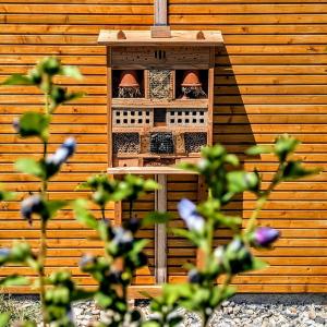 B&B / Chambres d'hotes Villa Font Vive - Chambres d'hotes eco-labellisees avec cuisine - Confort, calme et vue exceptionnels ! : photos des chambres