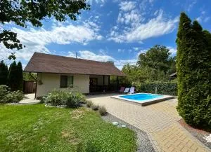 Загородный дом в Пырыта - Вадул-луй-Водэ