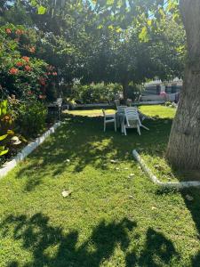 DOLCE VITA by DENTALUX