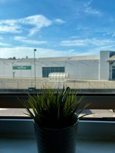 Stylish Modern Flat with Juliet Balcony & Parking