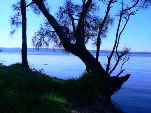 Waterfront Jervis Bay Escape Cooinda
