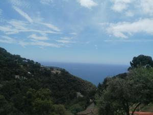 Sejours chez l'habitant Monaco- hills appartement : photos des chambres