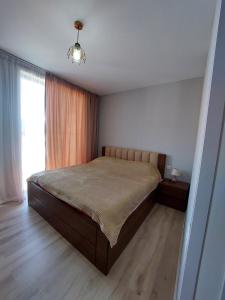 Bakuriani Travel Town Apartment