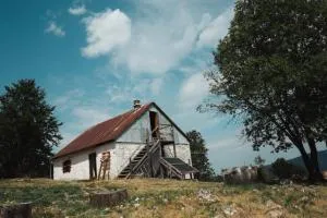 Household Šain - أوزيتشي