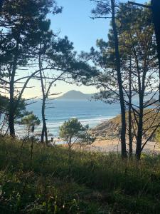 CASA do CAMPO Lestrove