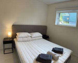 Jolster sauna apartments